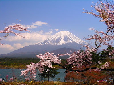 日本富士山樱花油画图片展示