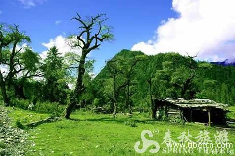 林芝药王谷景区游玩攻略,西藏药王谷在哪里