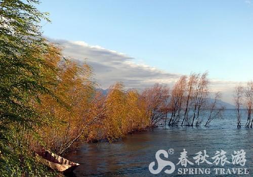 20111125095526551_OW.jpg