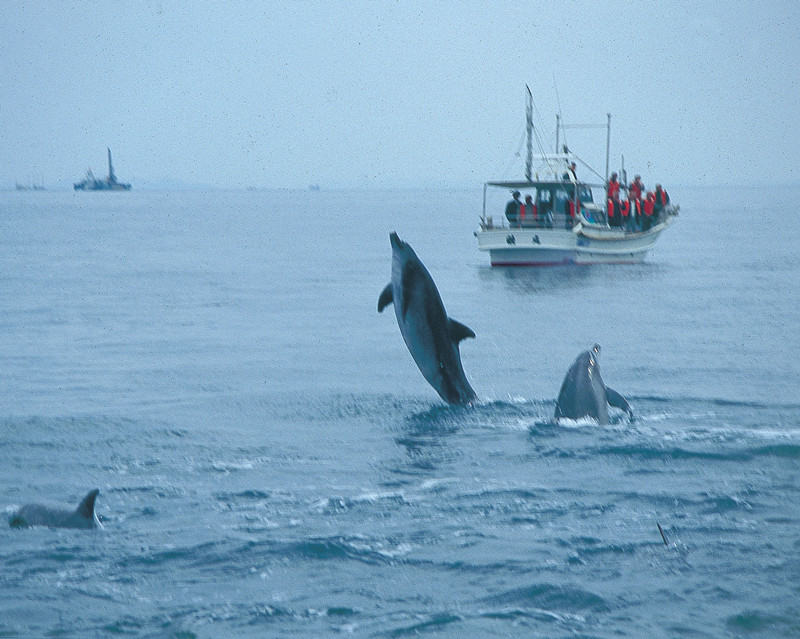 上海到日本冈山后乐园跟团游最低价格报价费用