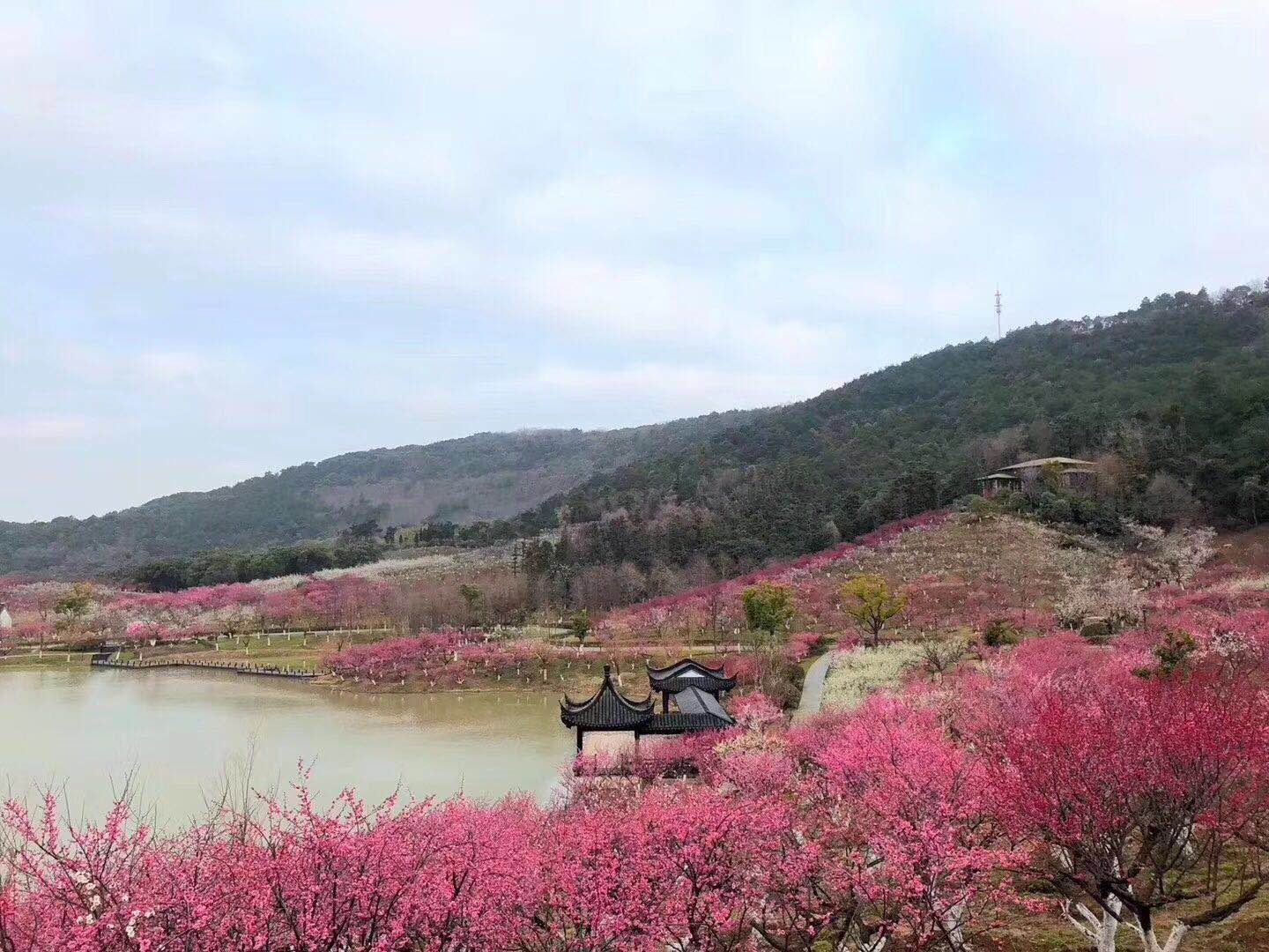 用餐:行程:早上08:30武胜路博物馆东侧停车场发车(145路终点站),导游